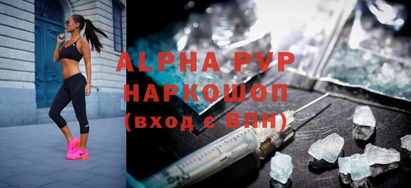 гашик Аркадак