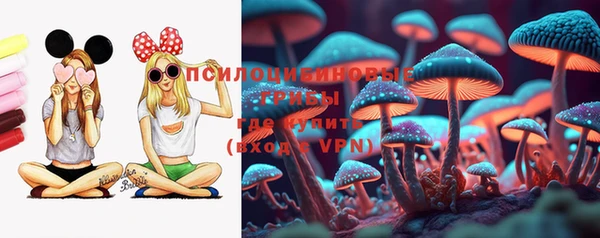 гашик Аркадак
