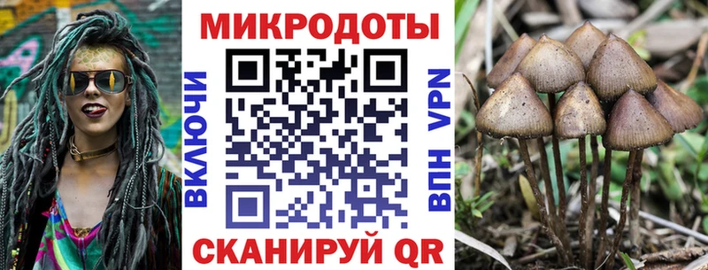 Псилоцибиновые грибы MAGIC MUSHROOMS  сколько стоит  Мончегорск 